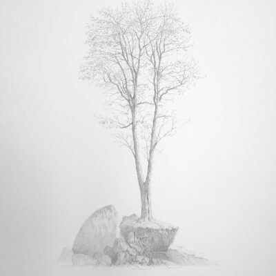 Curso de Dibujo Hiperrealista