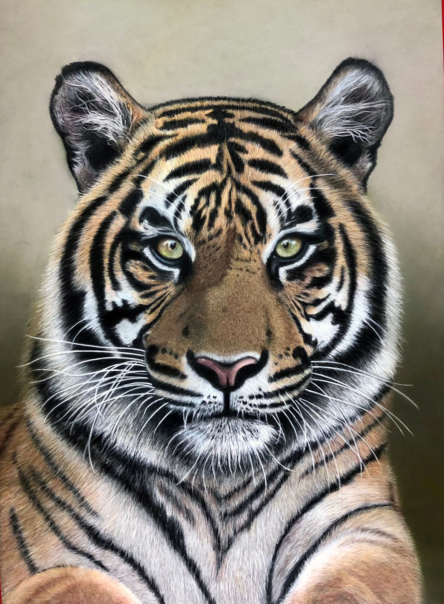 dibujo y pintura adultos